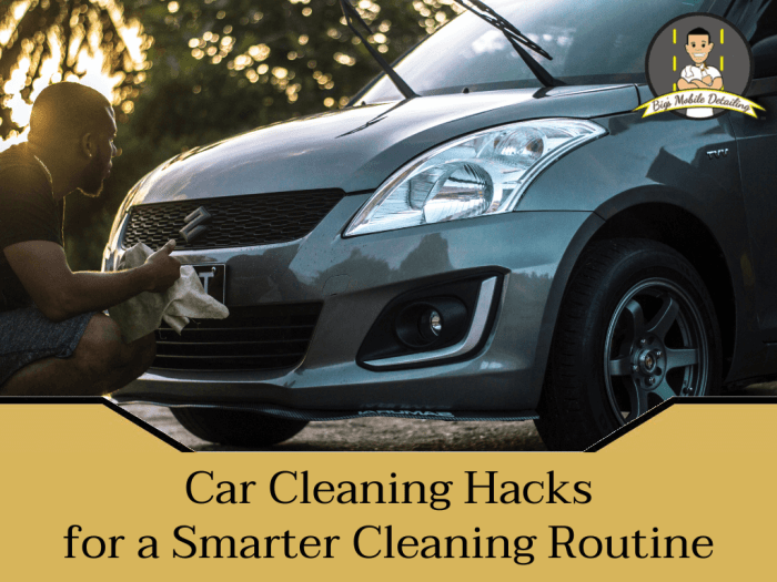 Cleaning hacks car pure genius make life tips fabuloso fresheners air diy organize